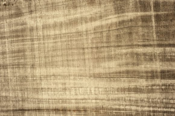 Download Wood Background 21-07 - Wood Collection